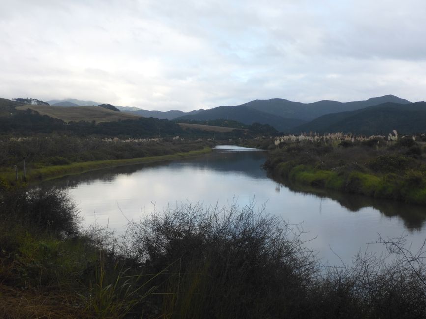2025-04-11 NZ, Coromandel