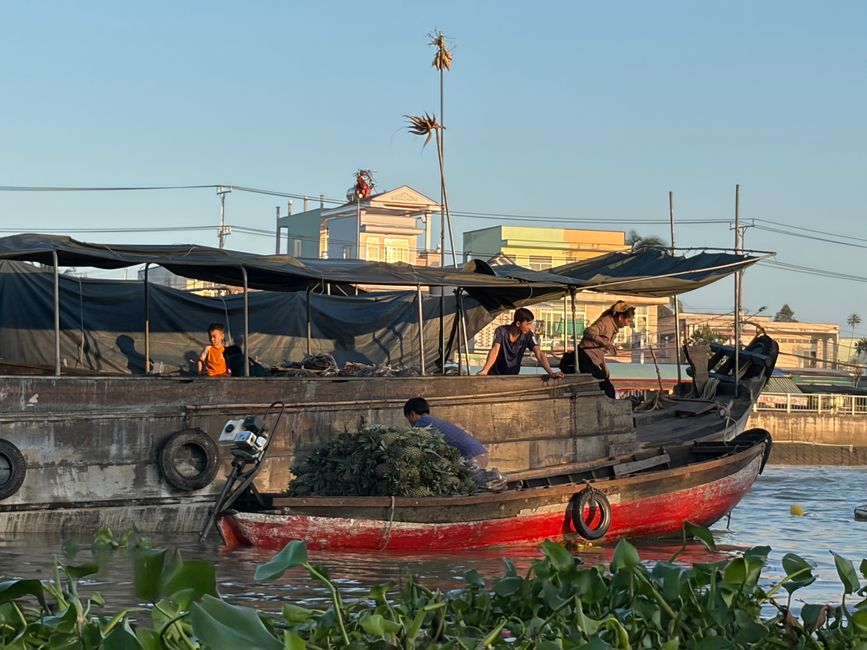 Le Mékong - Delta