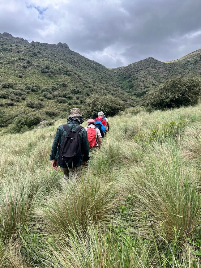 Trekking
