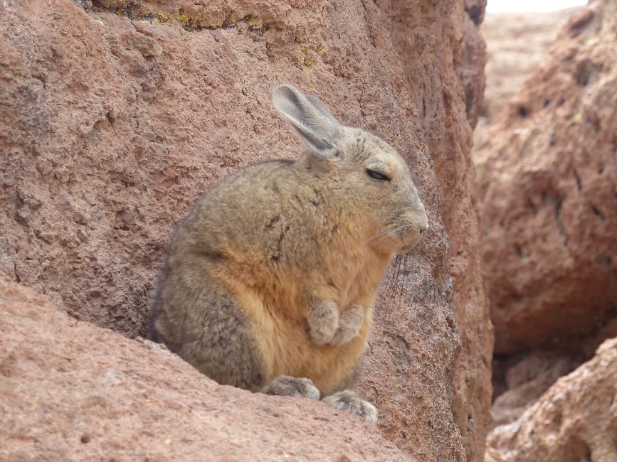 Chile, San Pedro de Atacama