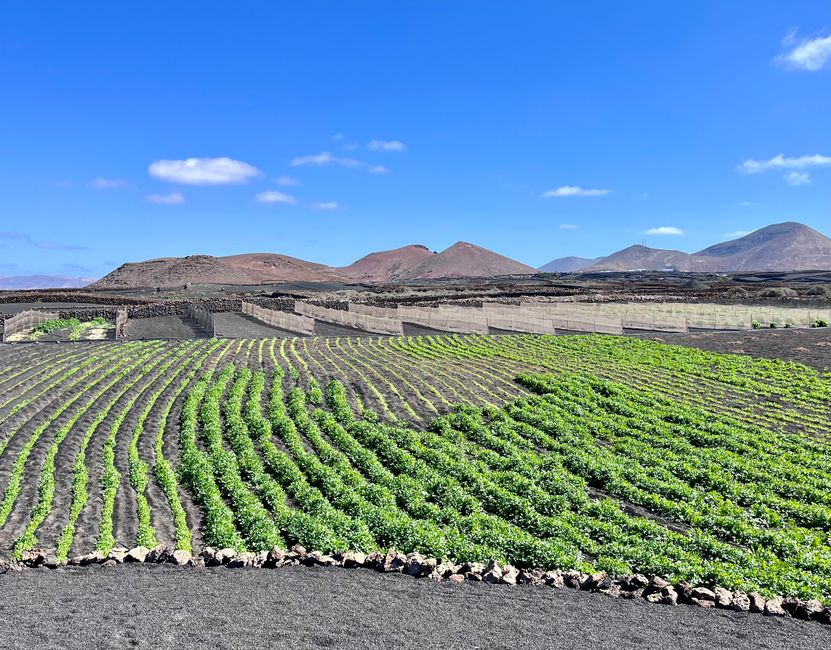 Aguas de vuelta a la laguna de La Santa