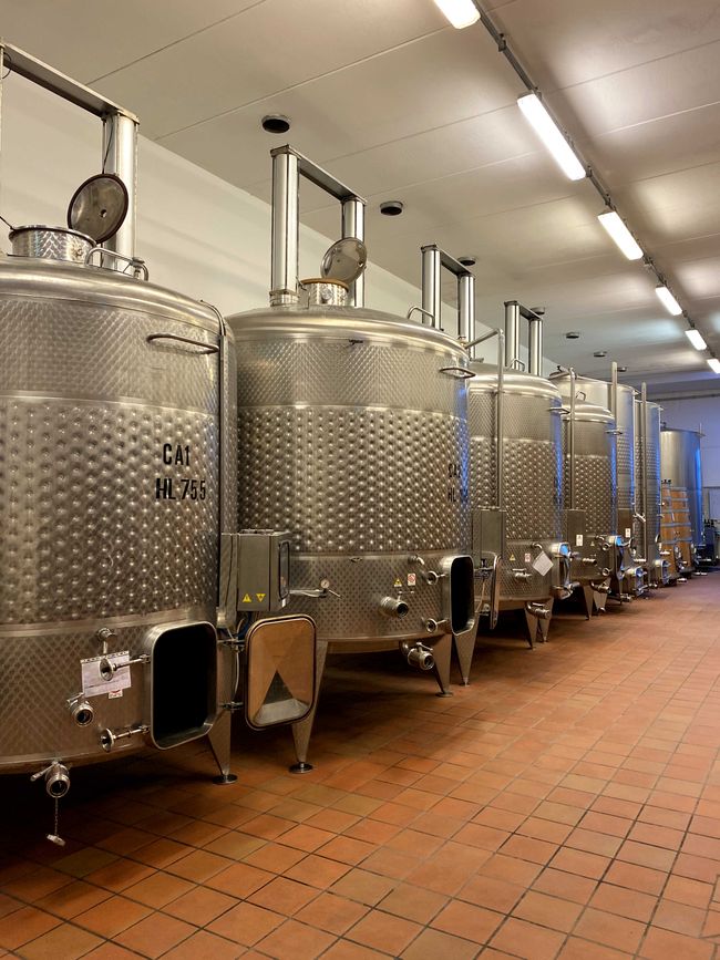 Tuscany Tour - Stop 3: Wine Tasting in Montalcino