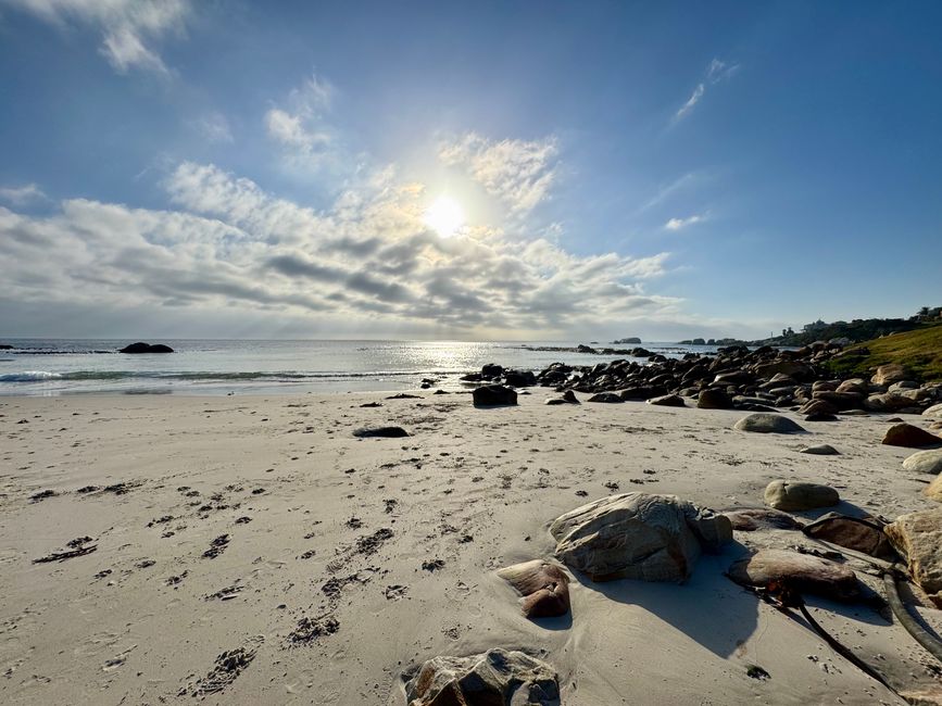 South Africa🇿🇦Week 6