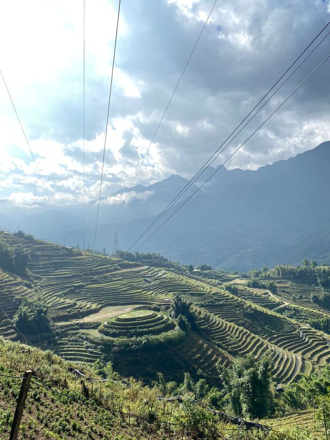 Sapa - rice terraces