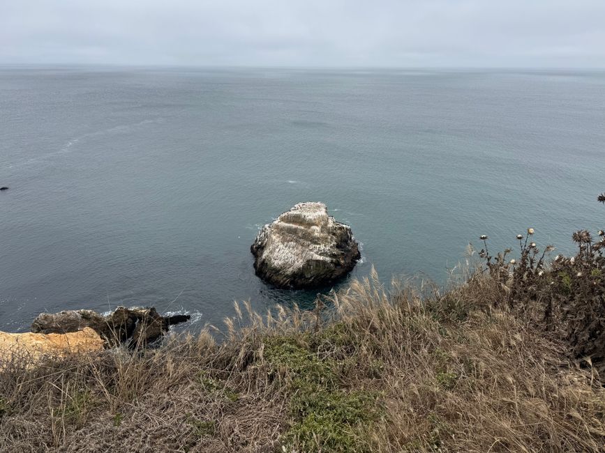 Point Reyes