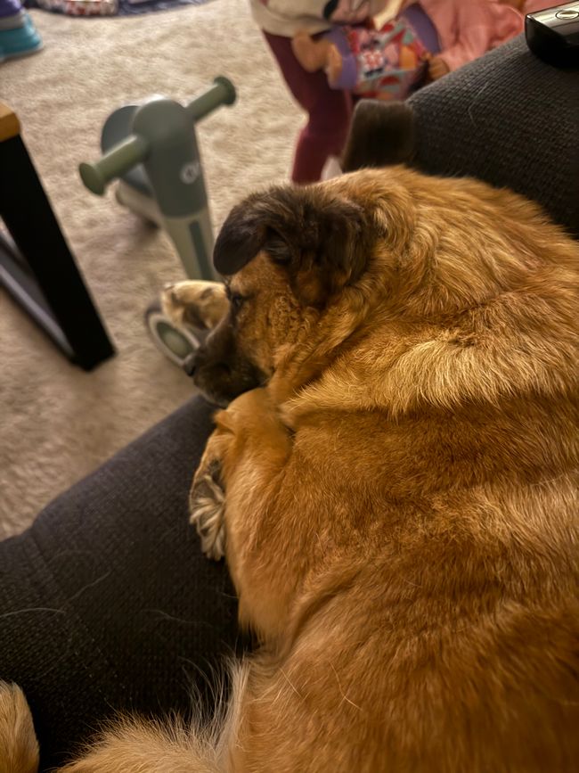 In NRW/ a casa di mio fratello
