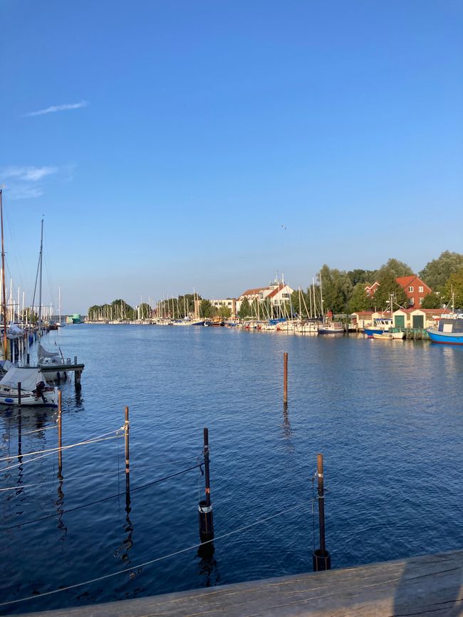 Greifswald und über die Freude im Großen und im Kleinen