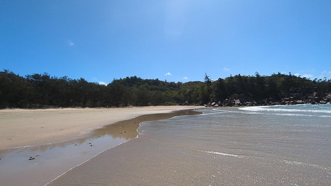 Magnetic Island, Koala und Co.