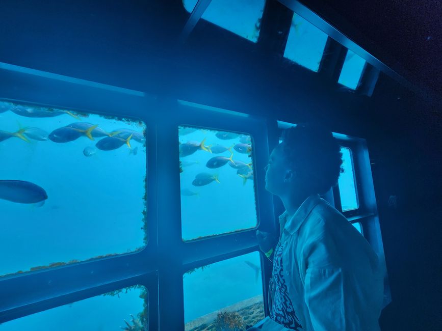 Tag 27, 21. Mai, Great Barrier Reef