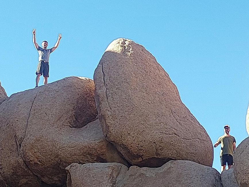 Joshua Tree