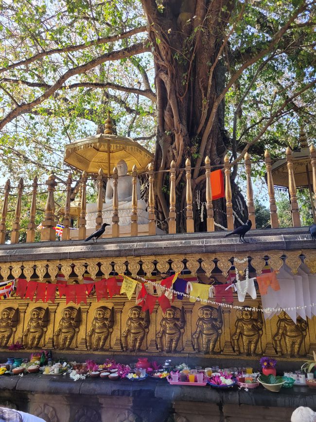 Tag 124 und 125 von 175: Kreuzfahrt rund um die Welt - Colombo/Sri Lanka und Seetag