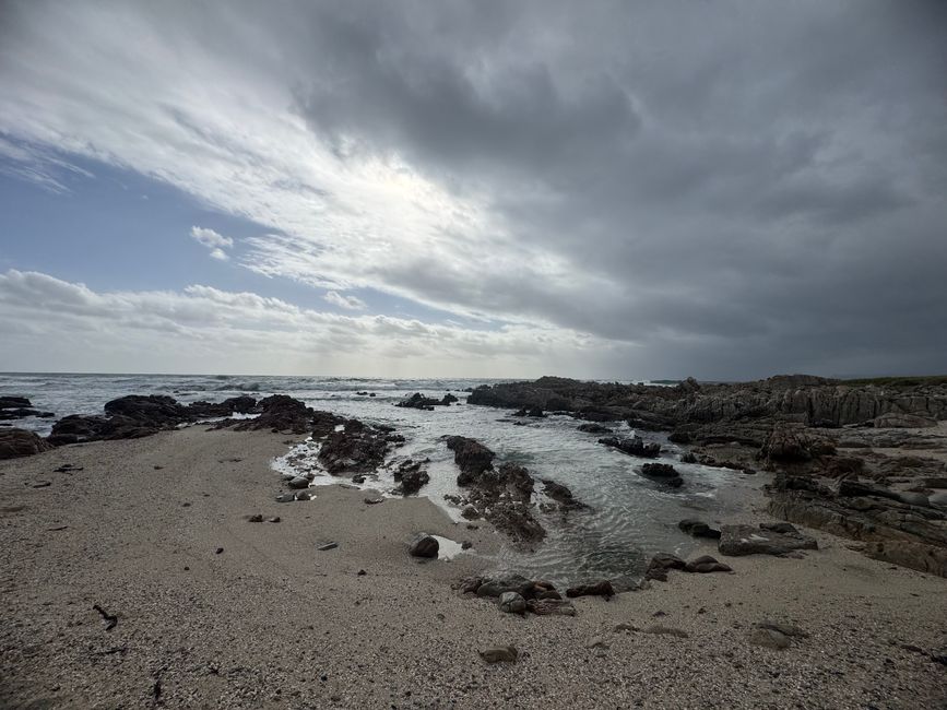 Gansbaai