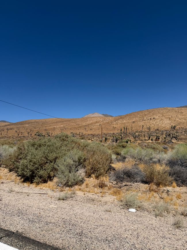 Am Ende des Death Valley 