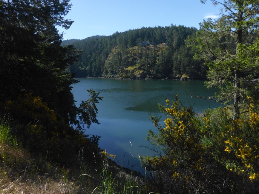 Lake Matheson