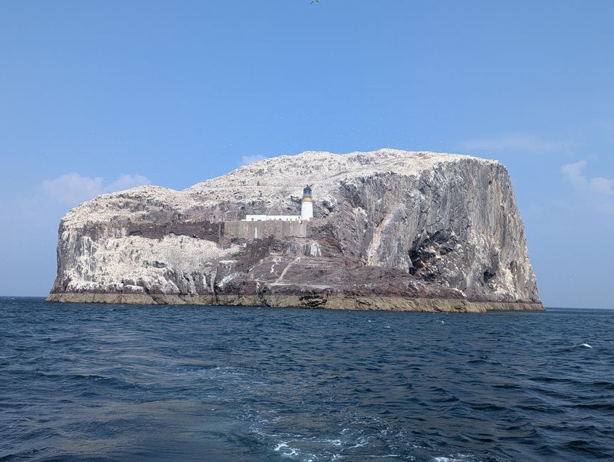 Saturado