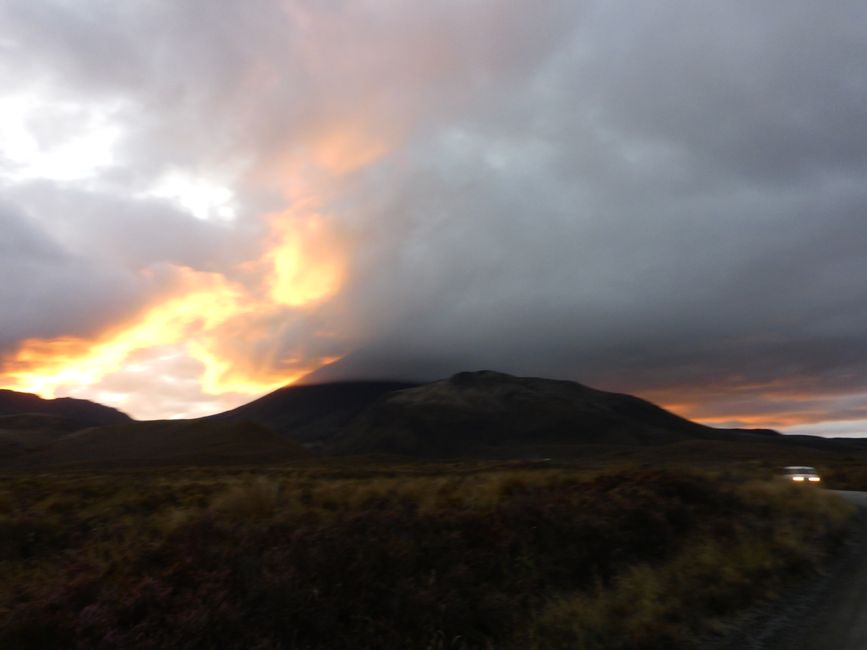 2025-03-29 Tongariro, Timber Trail and ...