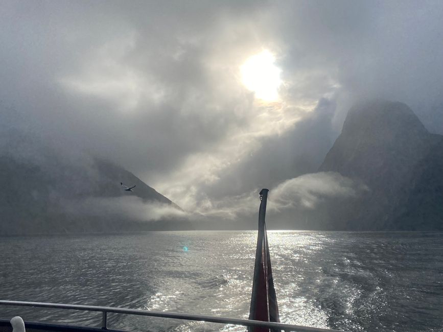 Road trip to Milford Sound