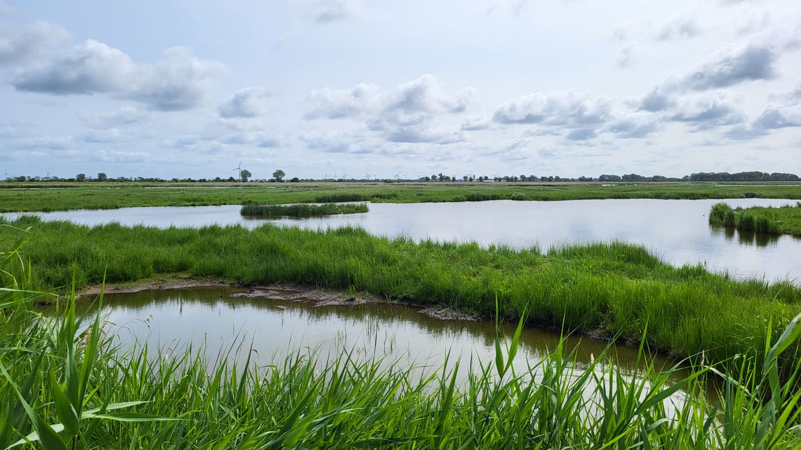 Naturschutzgebiet Wallnau