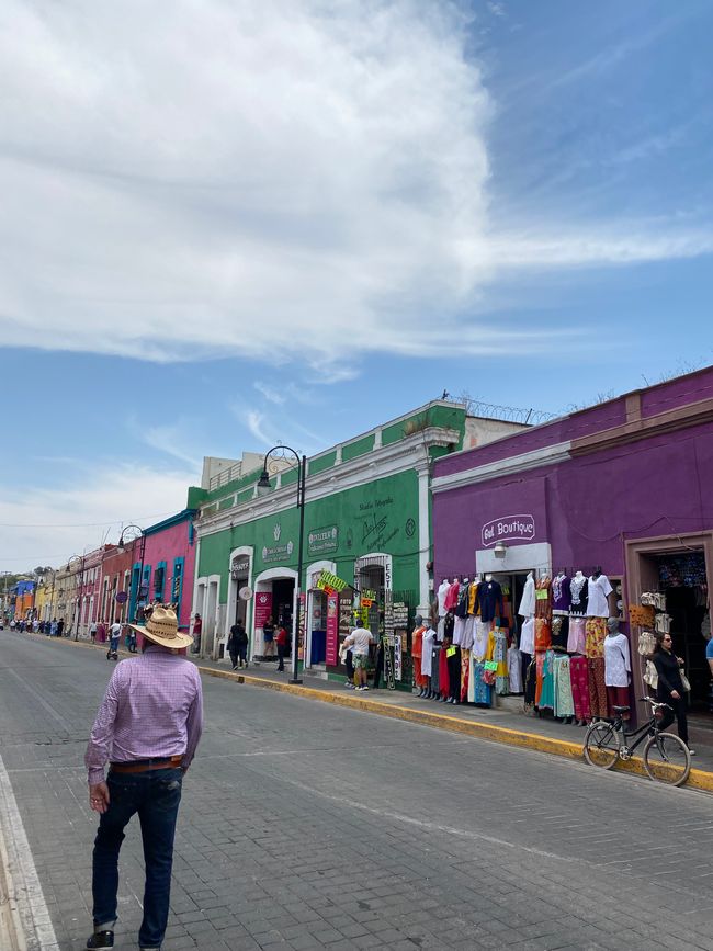 Cholula