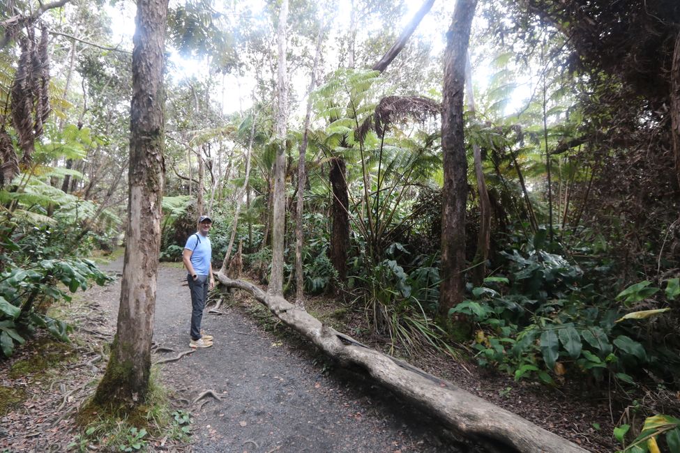 Visitamos el volcán Kilauea