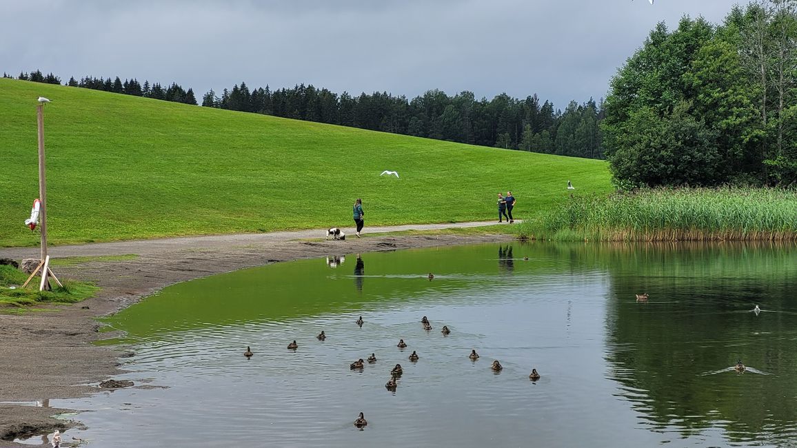 Oslo Gjørvik 9-16 de julio de 2024/15 de julio