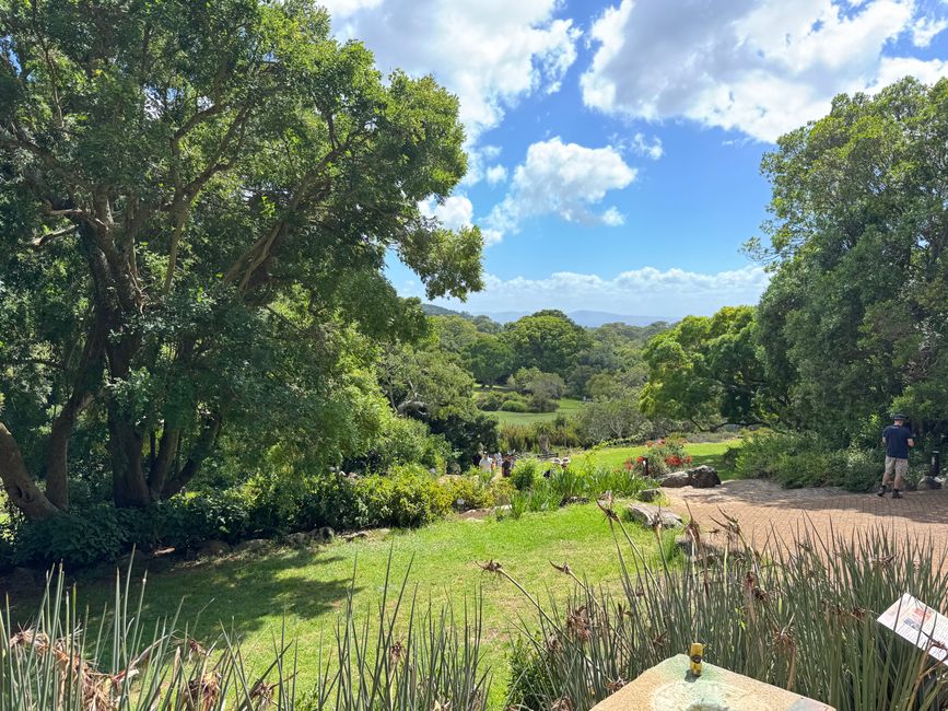 Jahreswechsel in Capetown
