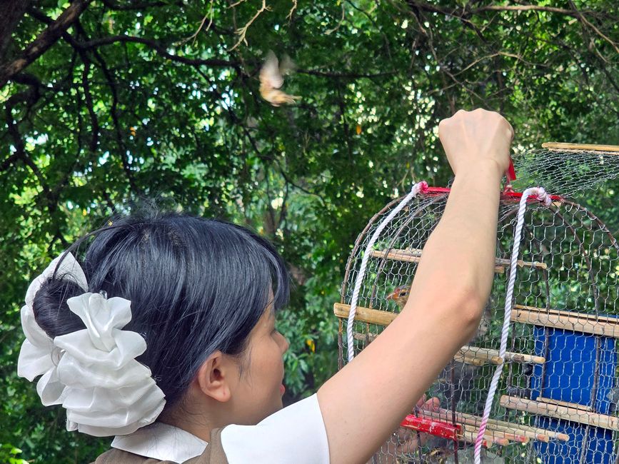 Der eine hat's geschafft, ...