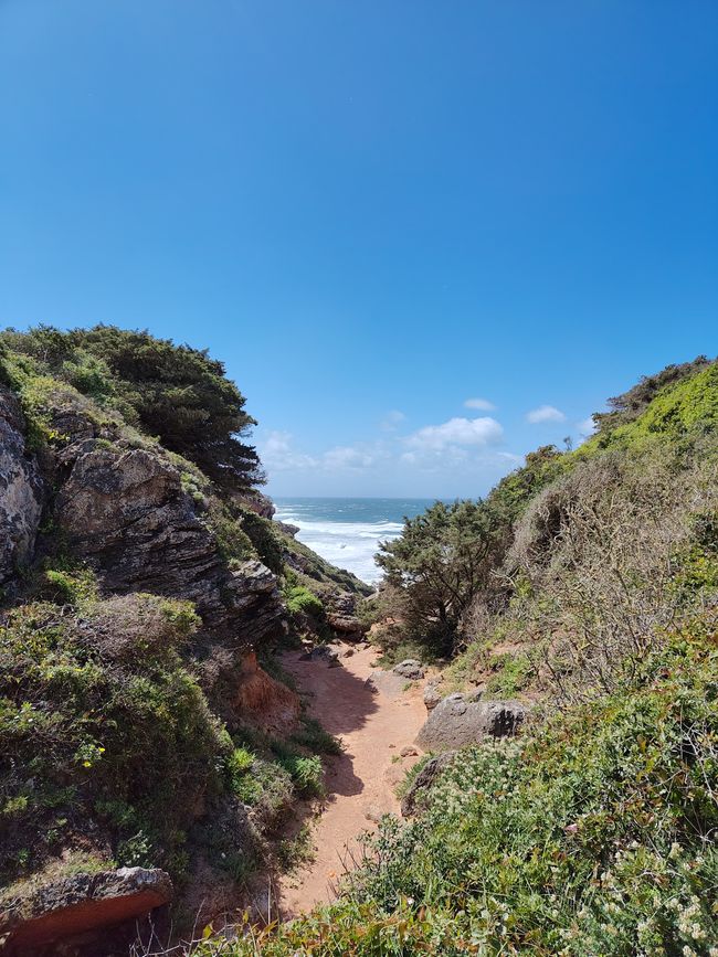 Sagres -> Vila do Bispo