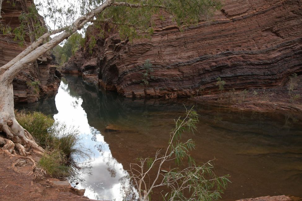 Hamersley Gorge