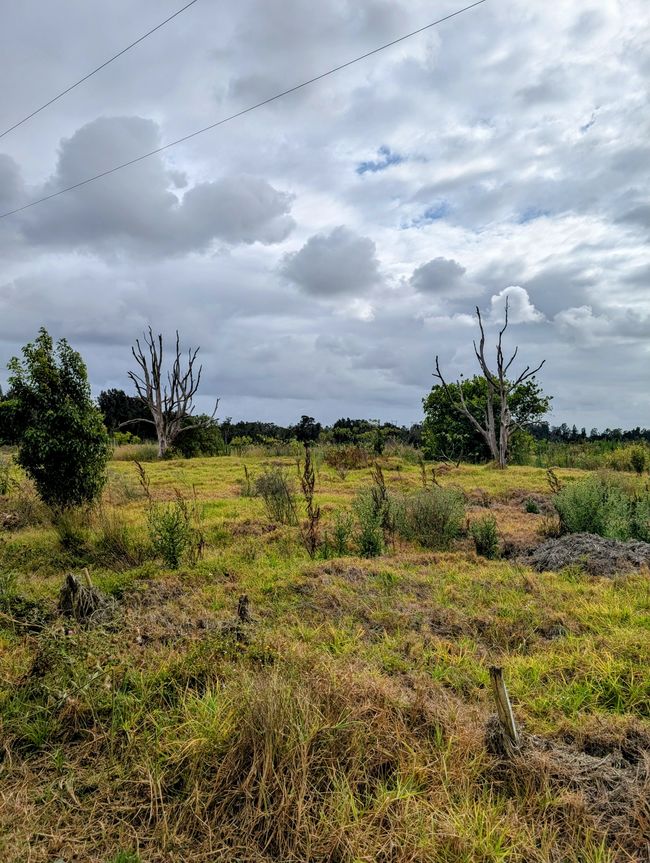 Von Newcastle nach Port Macquarie