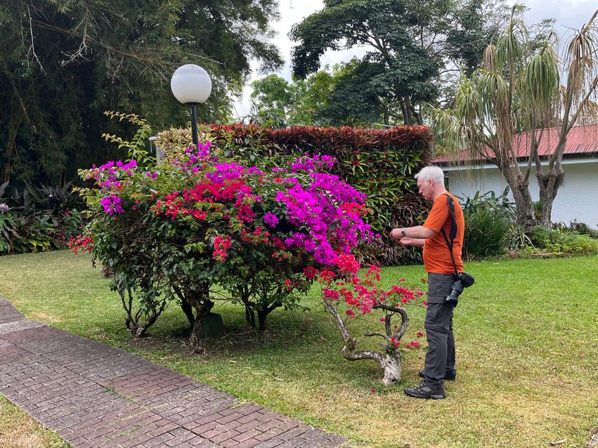 Giardino dell'Hotel Bourgainvilla