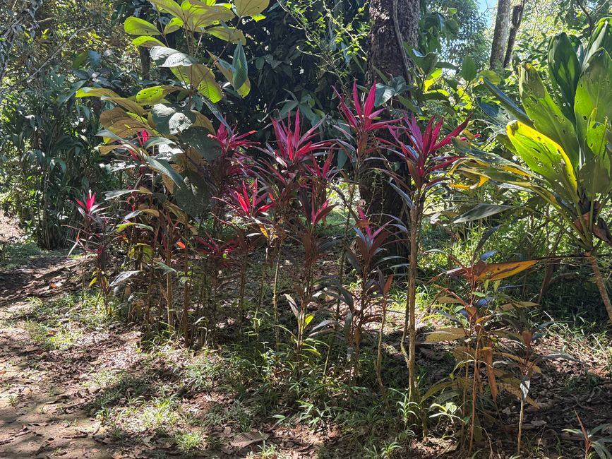 Weiter am Weg zum Dorf