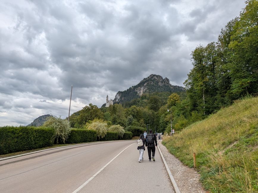 Forggensee 2026 - Neuschwanstein und Zugspitze