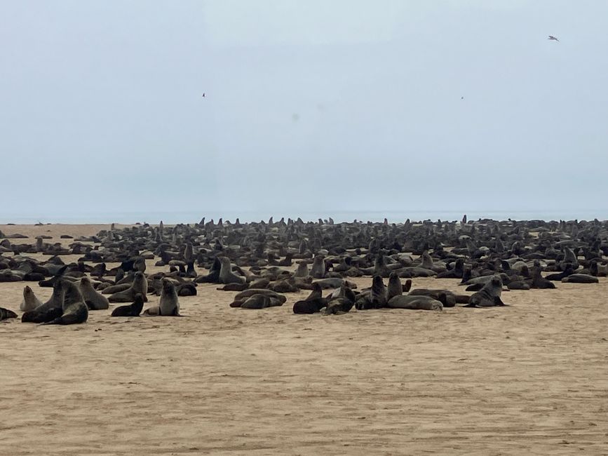 Swakopmund - la ville sur le sable