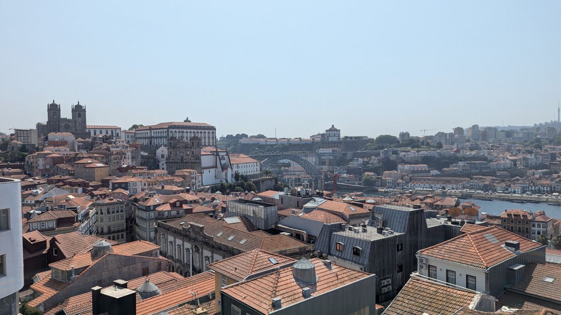 View back