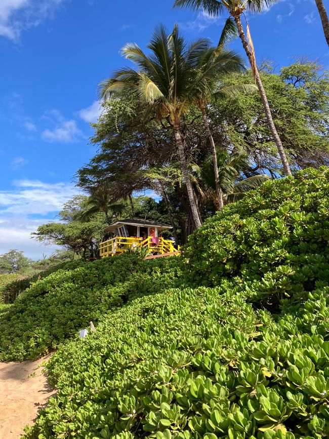 Morning Aloha on our beach from the coast guards