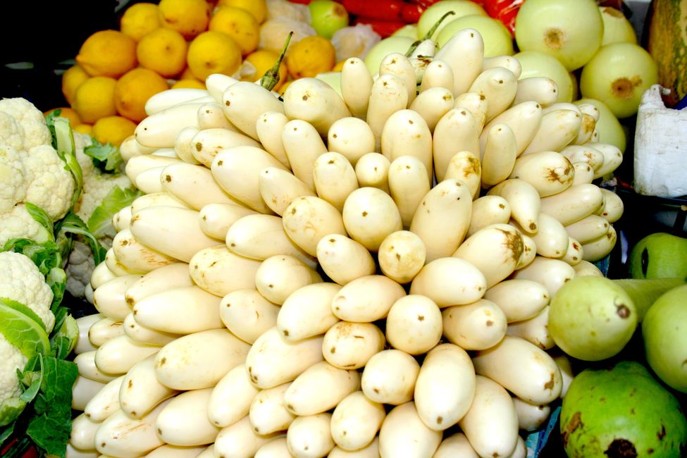 Mercado de ganado en Nizwa
