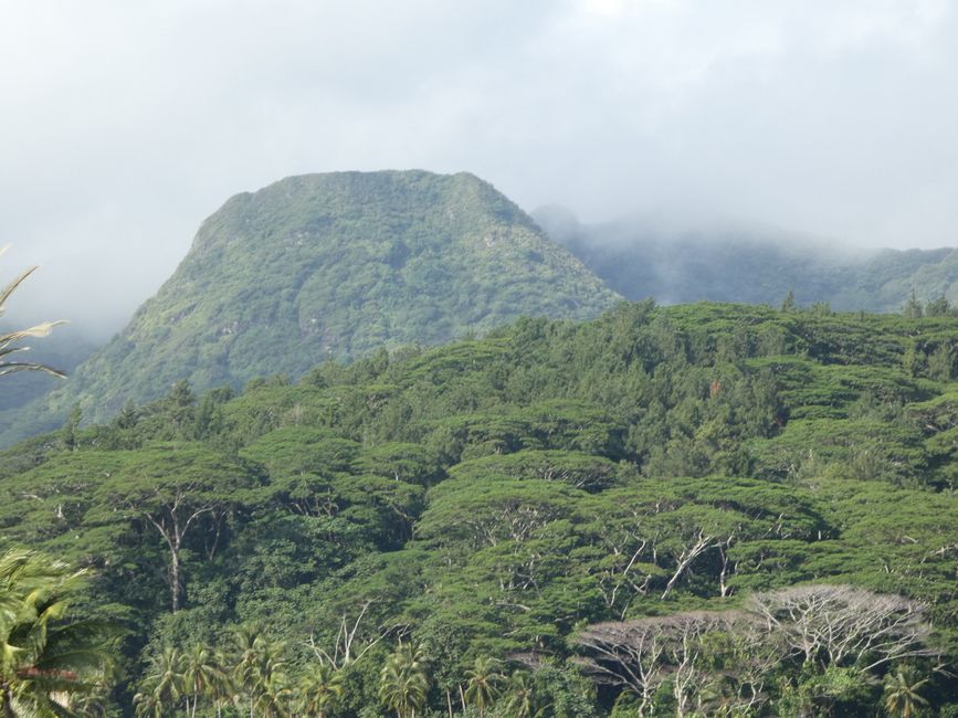 Uturoa - Raiatea