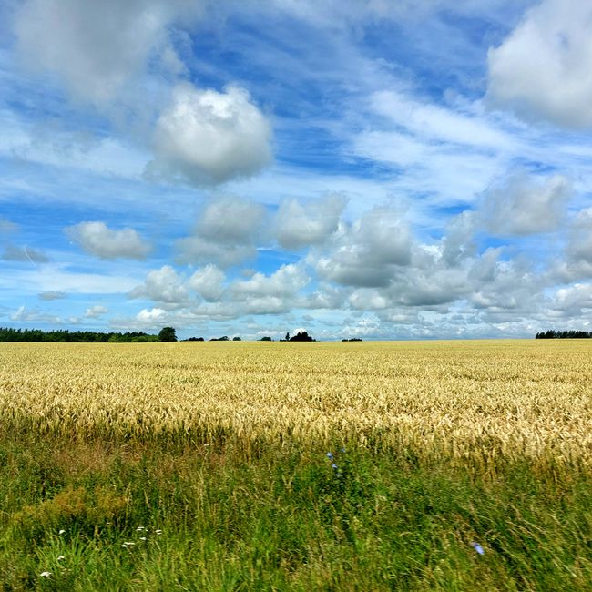 Südschweden-Tour - Tag 27