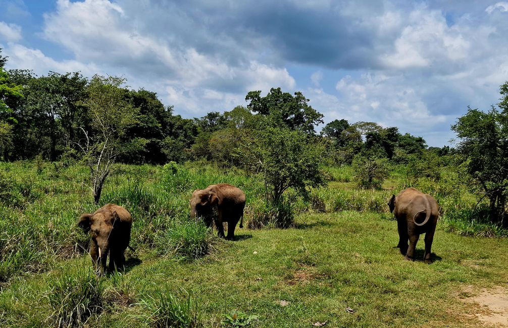 Hurulu Eco Park