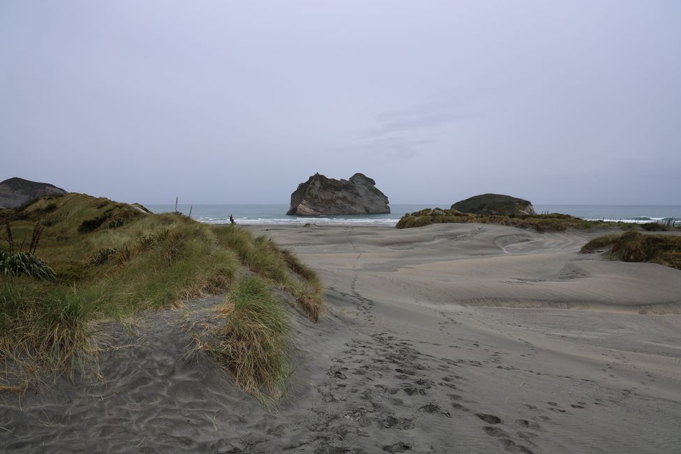 Abel Tasman