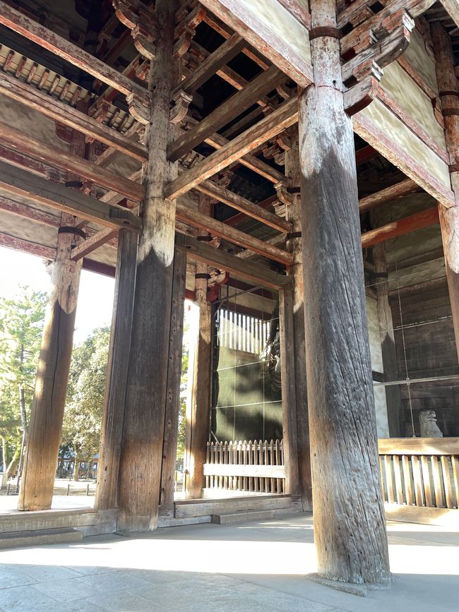 15. Capitolo: Visita al grande Buddha e sabato pomeriggio nel parco con proposta dal vivo