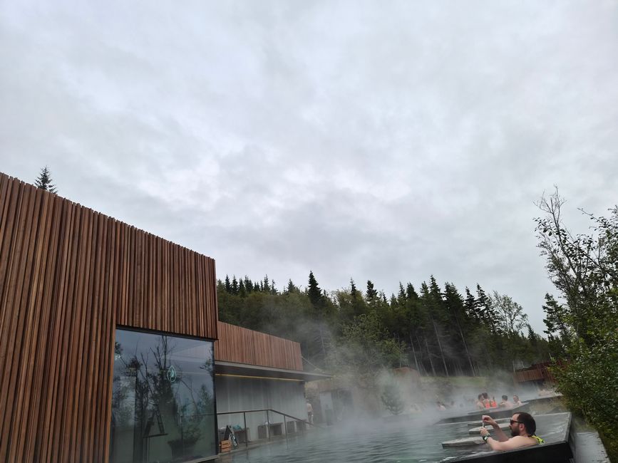 Icelandic Favourites🐋🏊♂️🌧