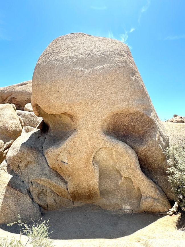 Joshua Tree National Park – Arch Rock e Skull Rock