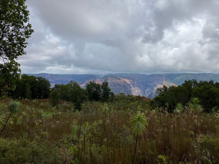 D19 - Yoga, Running and hiking Kukui trail in Waimea canyon with some surprises