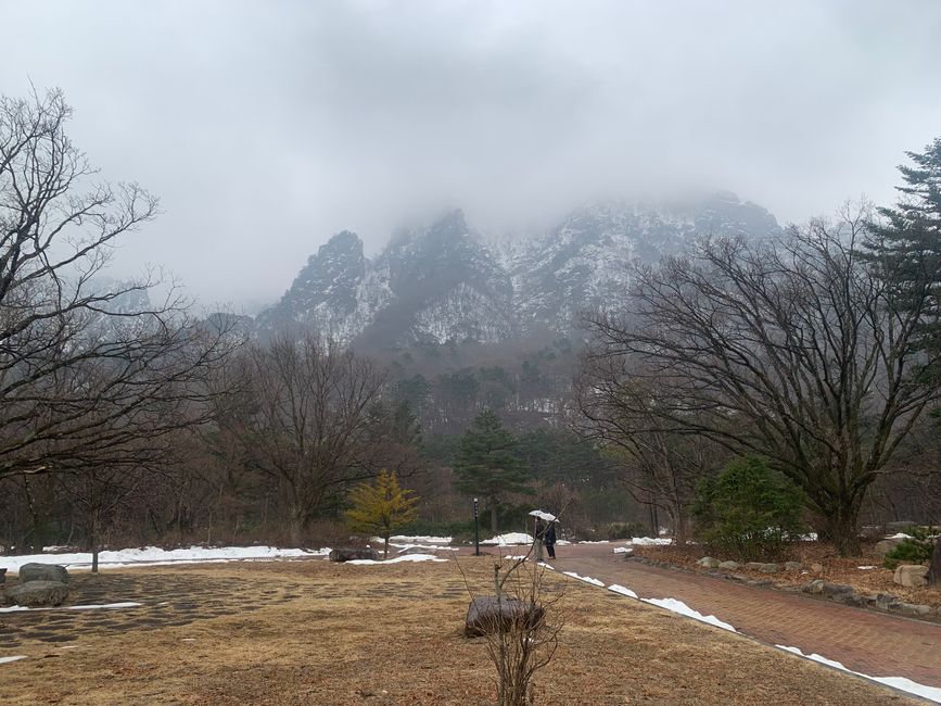 Sokcho & Parc National de Seoraksan