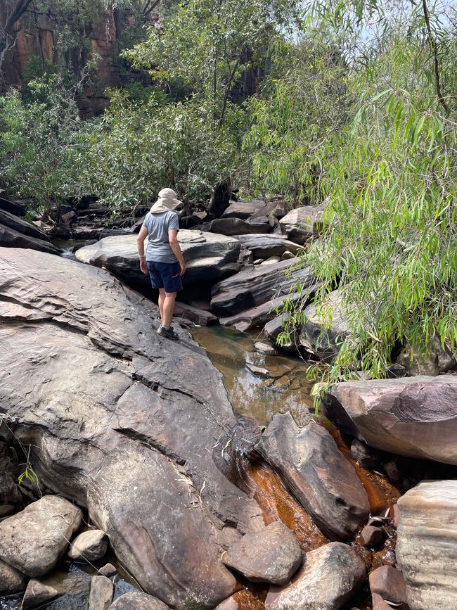 (I still feel itchy when I write this).</p><p><br /></p><p>We are highly motivated but give up after a good hour and turn back. In the end, we treat ourselves to a quick refreshment in one of the pools. The water is surprisingly warm.</p><p><br /></p><p>Since we are ahead of schedule, we also head to the Edith Falls. Unfortunately, the large plunge pool is still closed. There are probably still crocodiles in it. This is, of course, a disappointment. But tomorrow morning we plan to hike up to the