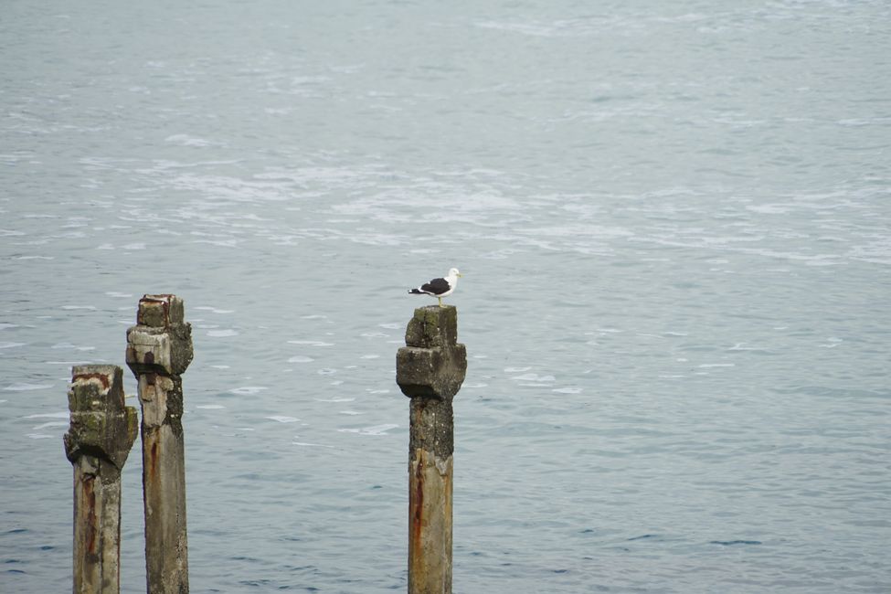 Whanganui - Ōpunake