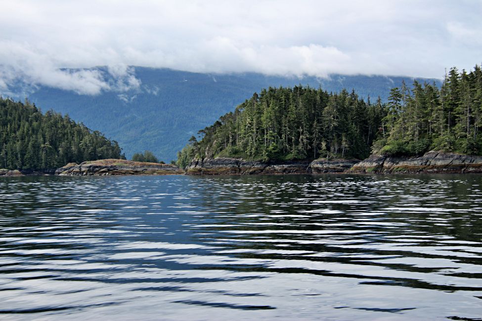 Seasmoke Whale Watching Tour