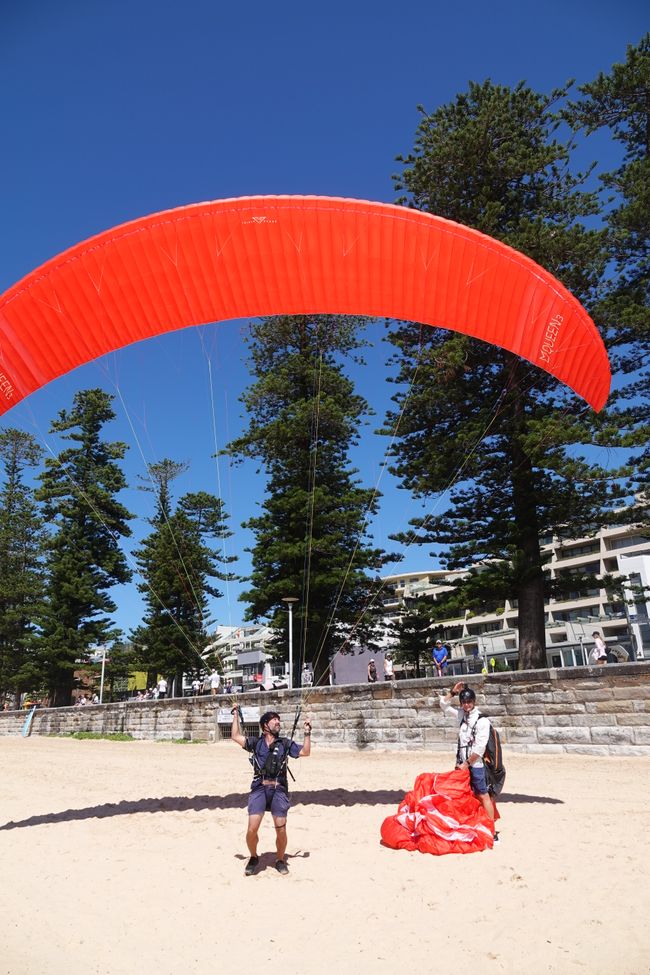 Sulle spiagge di Manly ....